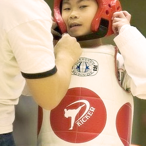 新界西跆拳道邀請賽2008_icon